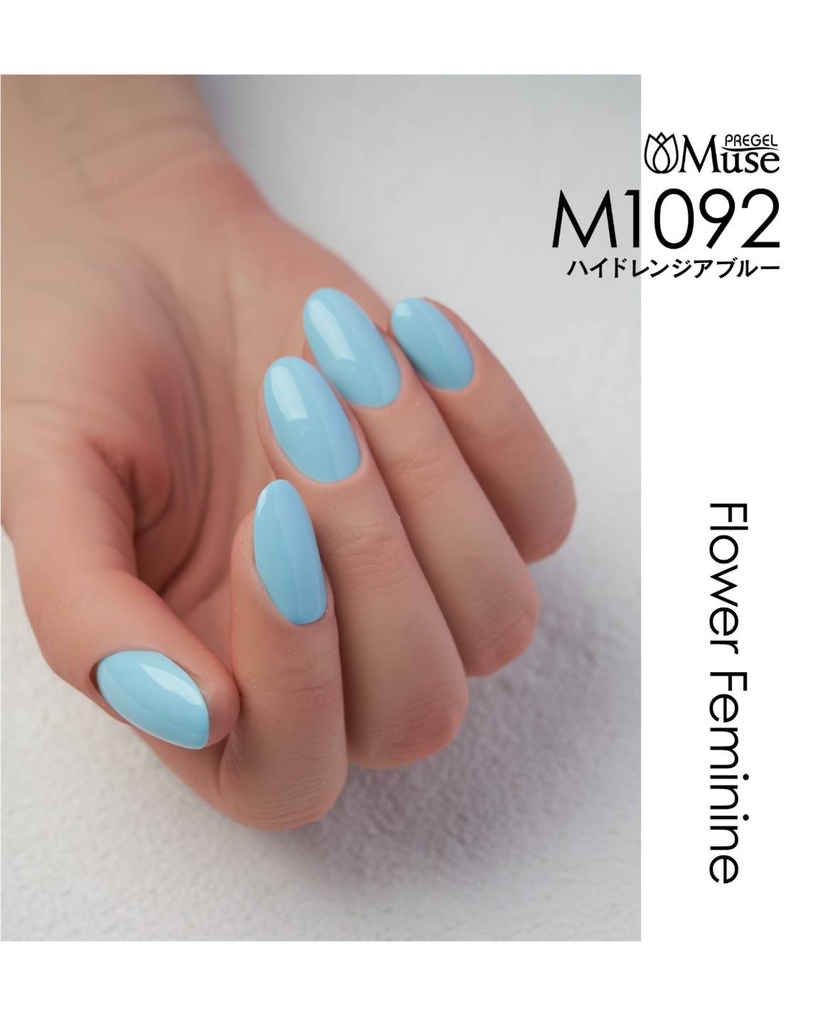 PREGEL MUSE M1092 HYDRANGEA BLUE