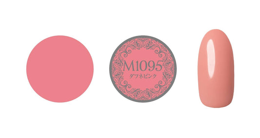 PREGEL MUSE M1095 DAPHNE PINK