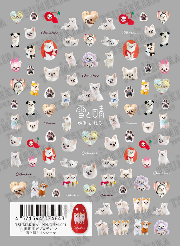 TSUMEKIRA OKUHATA MINA × YUKI AND HARU (CHIHUAHUA) | NN-OHM-001