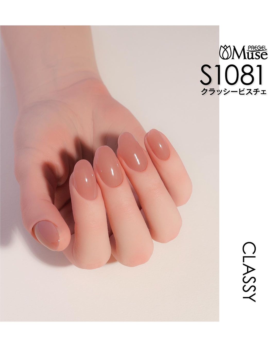 PREGEL MUSE CLASSY SERIES