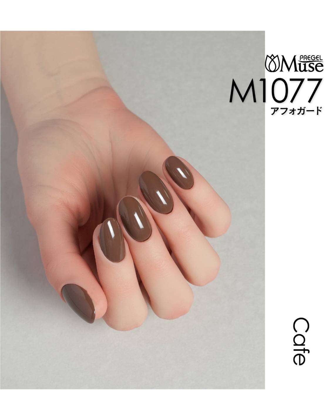 PREGEL MUSE M1077 AFFOGATO