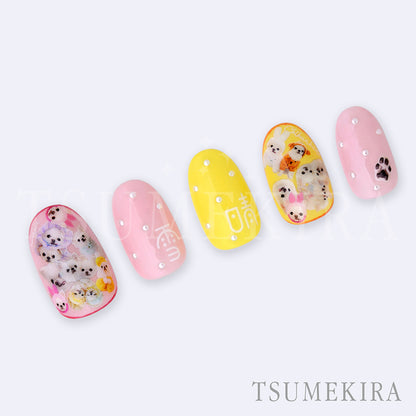 TSUMEKIRA OKUHATA MINA × YUKI AND HARU (CHIHUAHUA) | NN-OHM-001