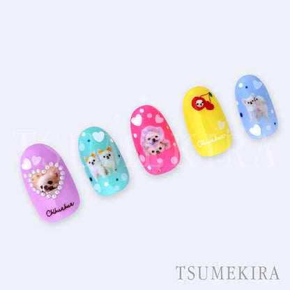 TSUMEKIRA OKUHATA MINA × YUKI AND HARU (CHIHUAHUA) | NN-OHM-001