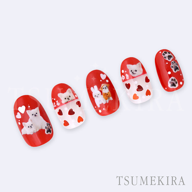 TSUMEKIRA OKUHATA MINA × YUKI AND HARU (CHIHUAHUA) | NN-OHM-001