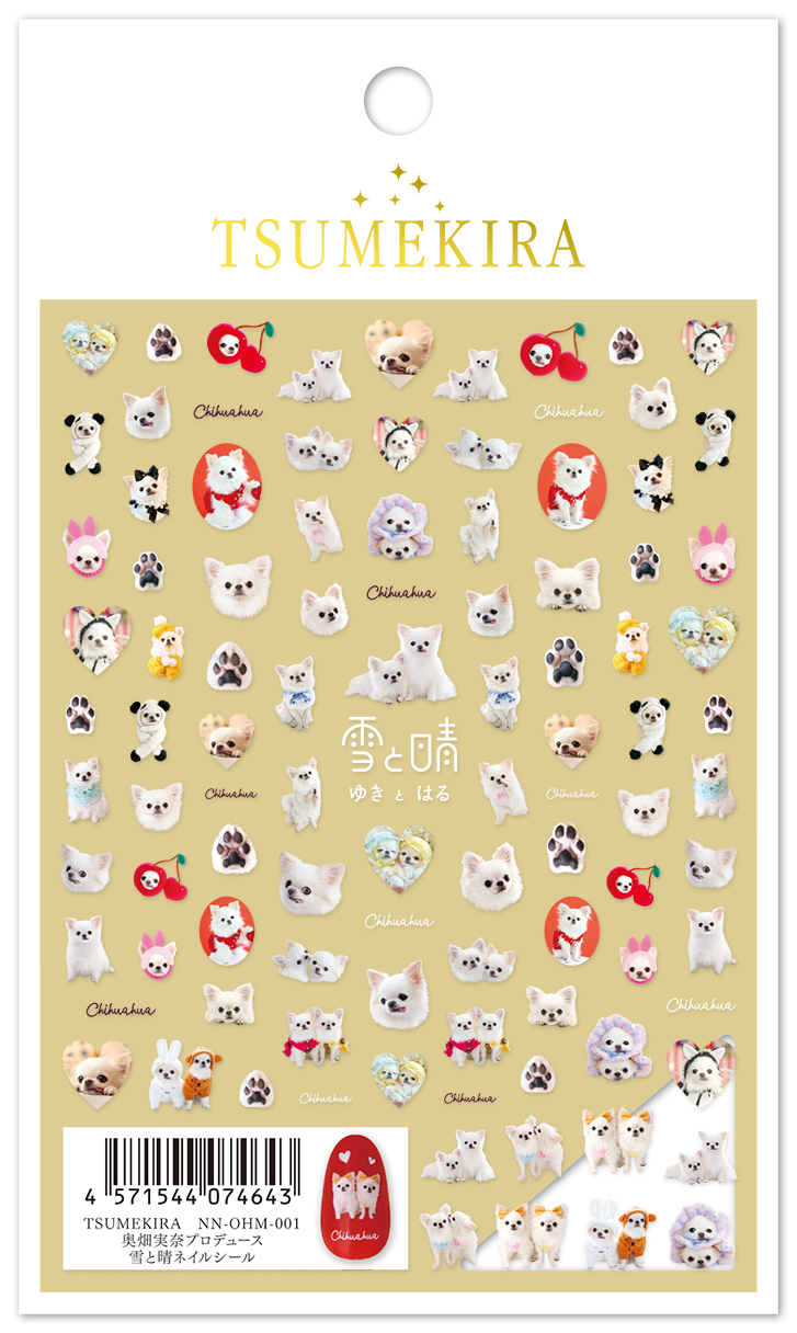 TSUMEKIRA OKUHATA MINA × YUKI AND HARU (CHIHUAHUA) | NN-OHM-001