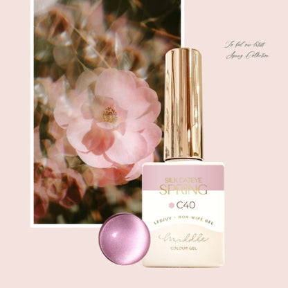 MIDDLE BY RUYIYA - SILK CAT EYE SPRING COLOR GEL SET