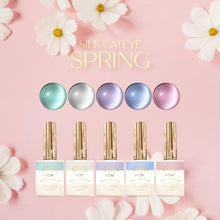 Load image into Gallery viewer, MIDDLE BY RUYIYA - SILK CAT EYE SPRING COLOR GEL SET
