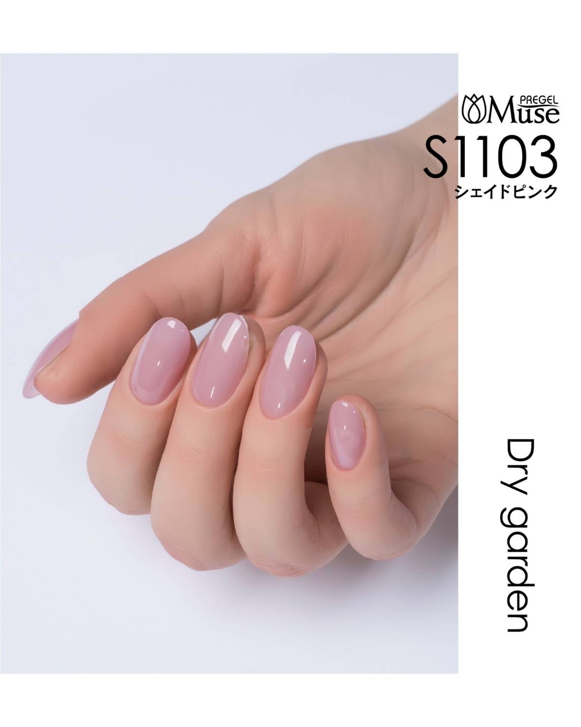 PREGEL MUSE S1103 SHADE PINK