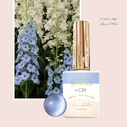 MIDDLE BY RUYIYA - SILK CAT EYE SPRING COLOR GEL SET