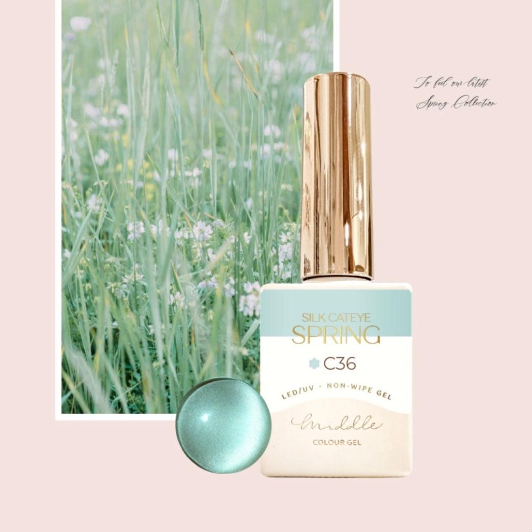 MIDDLE BY RUYIYA - SILK CAT EYE SPRING COLOR GEL SET