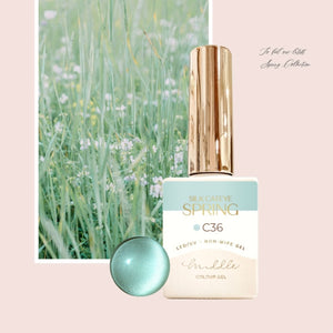MIDDLE BY RUYIYA - SILK CAT EYE SPRING COLOR GEL SET