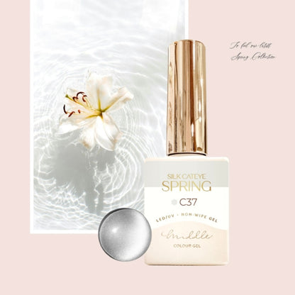 MIDDLE BY RUYIYA - SILK CAT EYE SPRING COLOR GEL SET