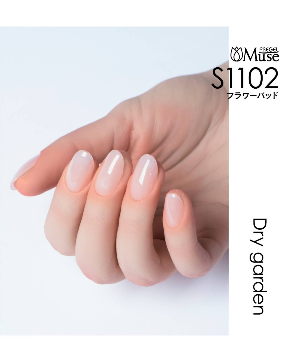 PREGEL MUSE DRY GARDEN SERIES