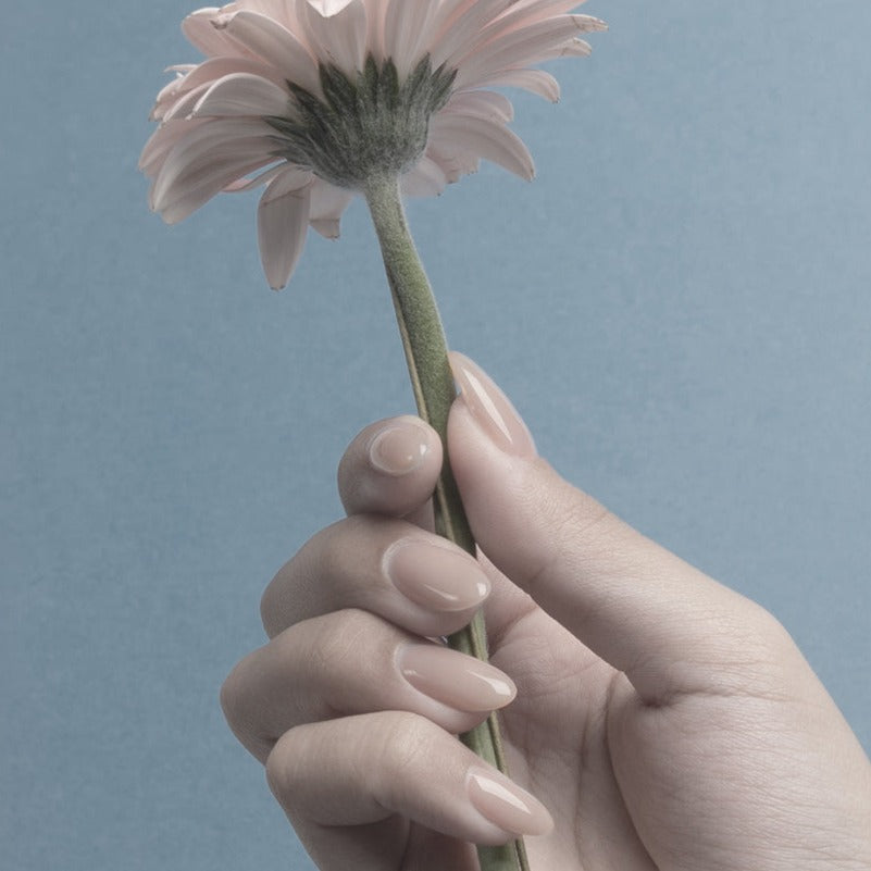 SCENA 004S BALLERINA