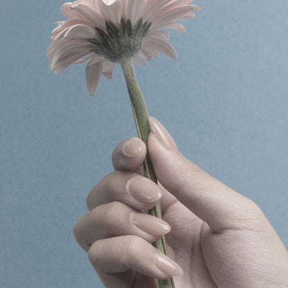 SCENA 004S BALLERINA