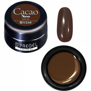 PREGEL COLOR EX 258 CACAO