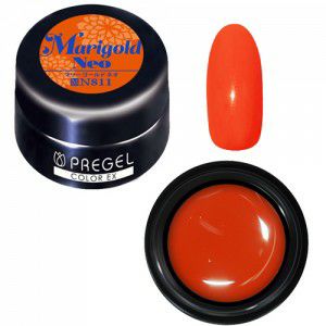 PREGEL COLOR EX 811 MARIGOLD