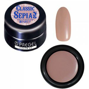 PREGEL COLOR EX 817 CLASSIC SEPIA