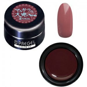PREGEL COLOR EX 824 MARSALA EARTH