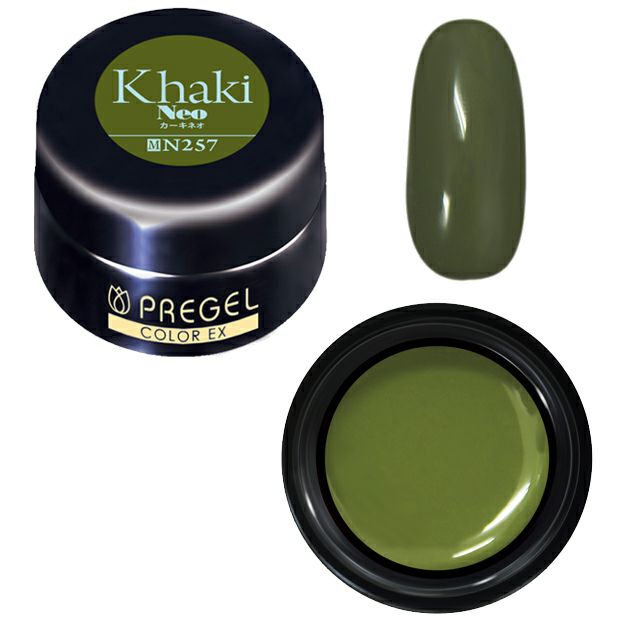 PREGEL COLOR EX 257 KHAKI