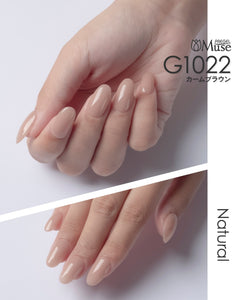 PREGEL MUSE G1022 CALM BROWN