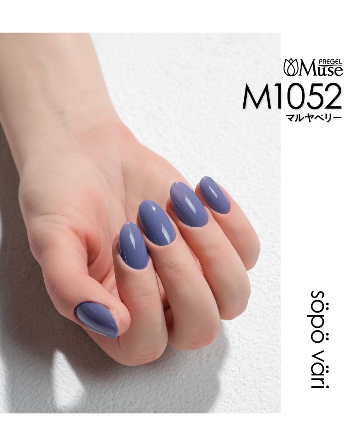 PREGEL MUSE SÖPÖ VÄRI SERIES