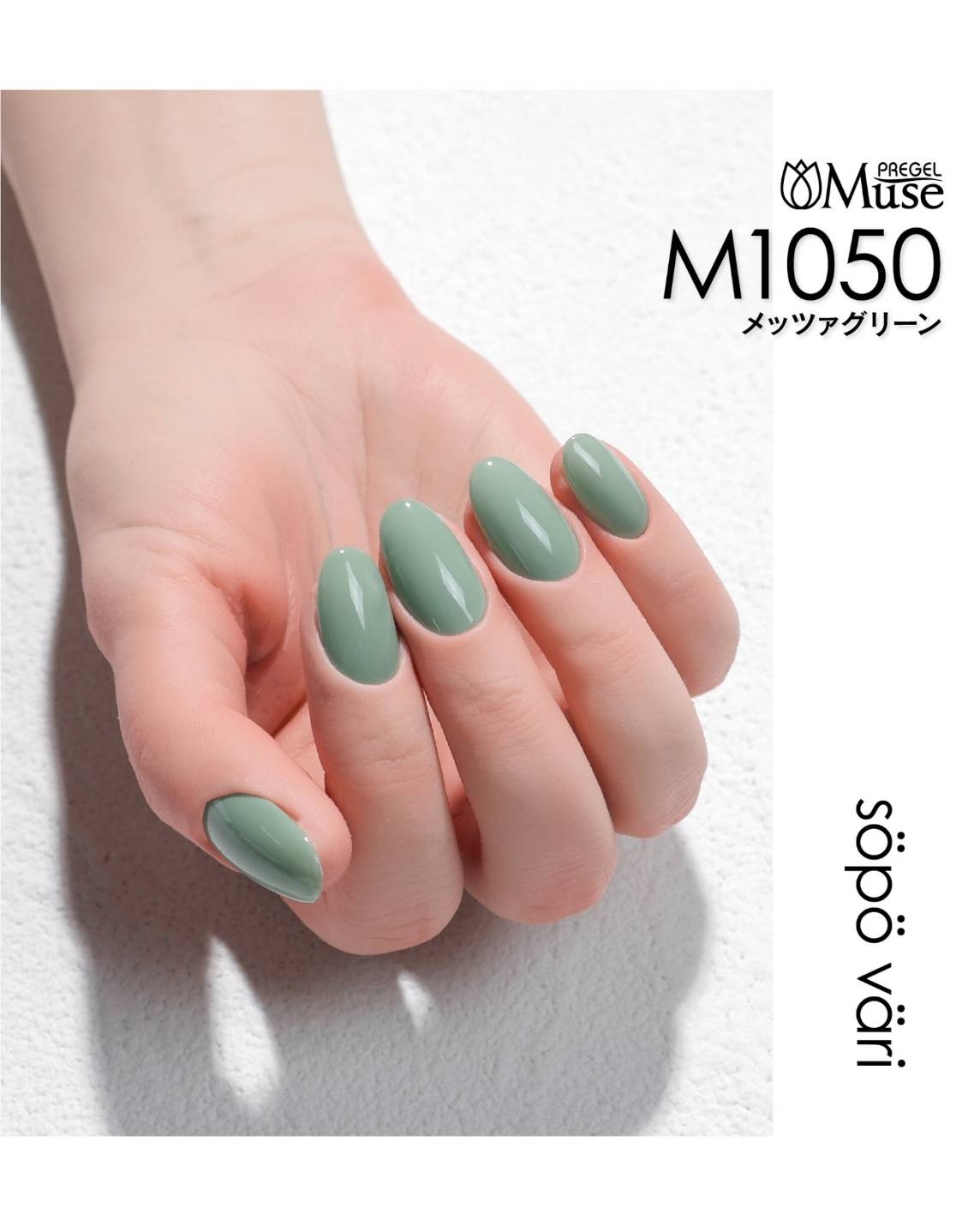 PREGEL MUSE SÖPÖ VÄRI SERIES