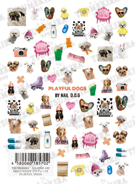 TSUMEKIRA DAISY × PLAYFUL DOGS | NN-DXD-102