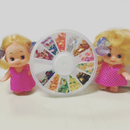 HOLOGRAM PRISM RAINBOW WHEEL CASE YPRX5324