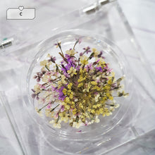 Load image into Gallery viewer, RUYIYA DRIED FLOWER SERIES - MORANDI FLOWERS
