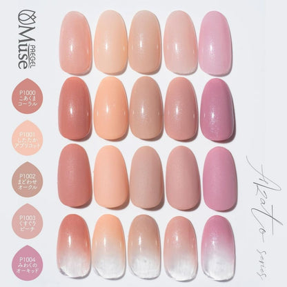 PREGEL MUSE AZATO SERIES