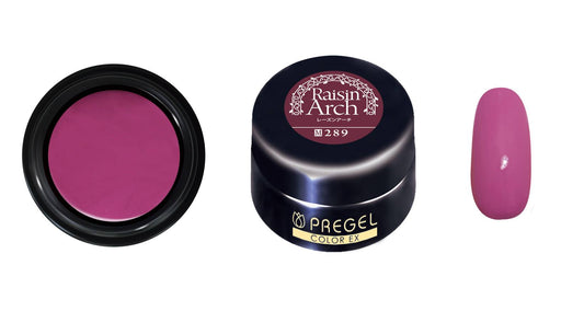 PREGEL COLOR EX 289 RAISIN ARCH