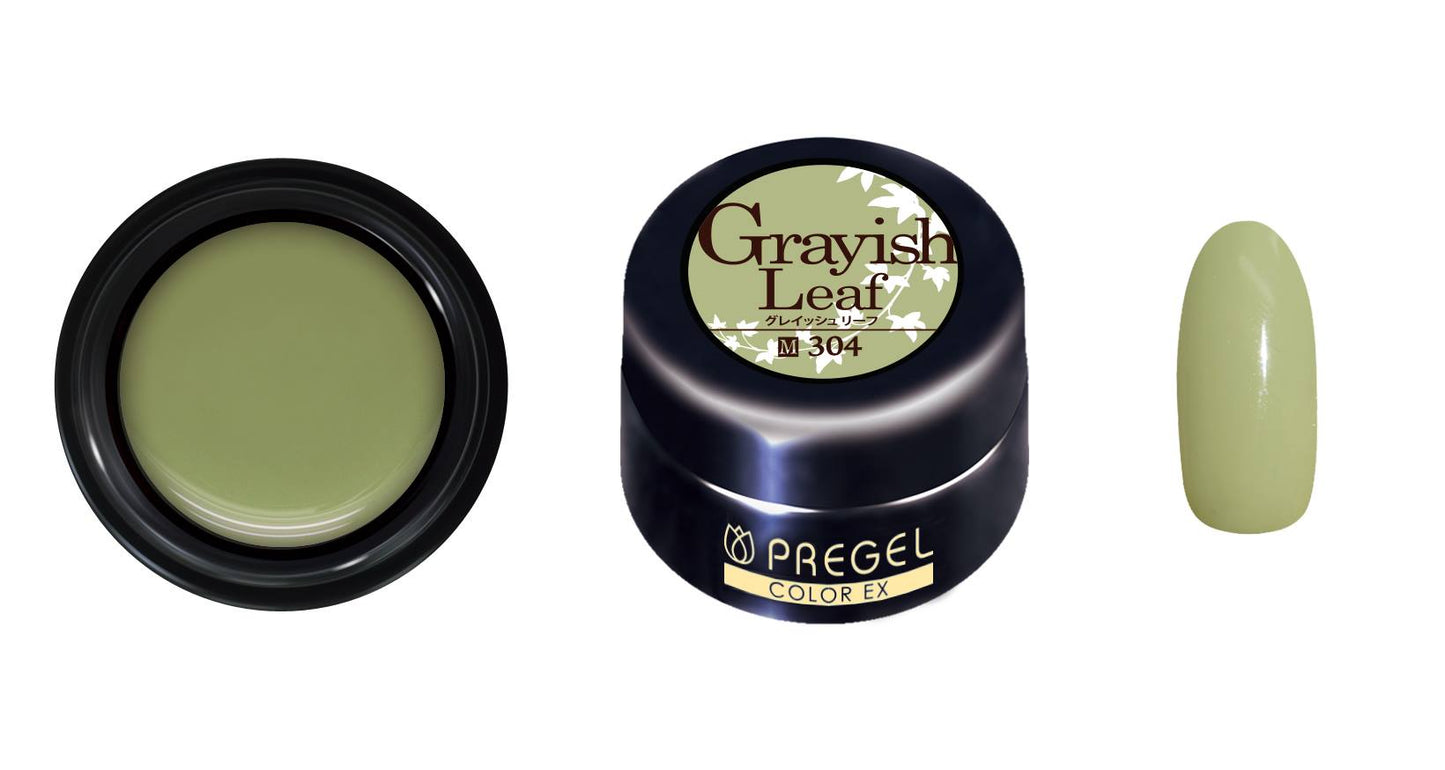 PREGEL COLOR EX 304 GRAYISH LEAF