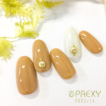 DESIGN STUDS STELLAR