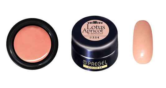 PREGEL COLOR EX 554 LOTUS APRICOT