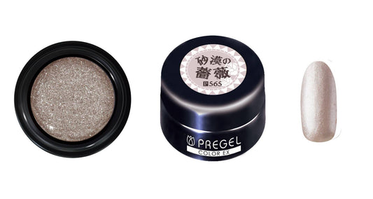 PREGEL COLOR EX 565 DESERT ROSE
