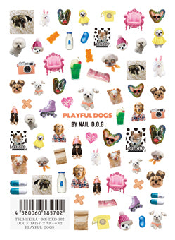 TSUMEKIRA DAISY × PLAYFUL DOGS | NN-DXD-102