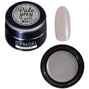 PREGEL COLOR EX 885 PALE GREY