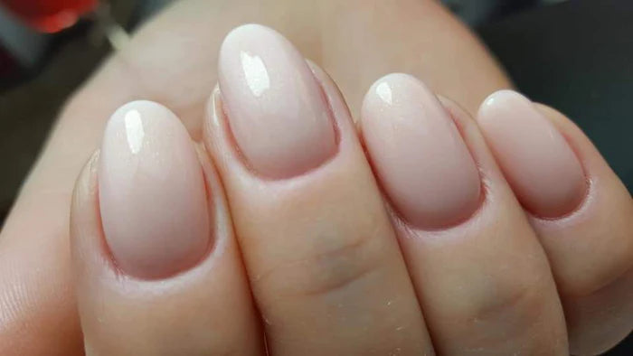 DIDIER STUDIOS - LIGHT CORAL #015