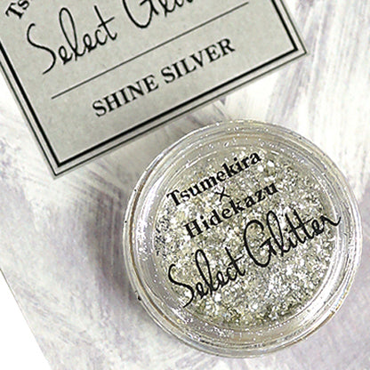 TSUMEKIRA x HIDEKAZU SELECT GLITTER - SHINE SILVER | HID-GLI-105