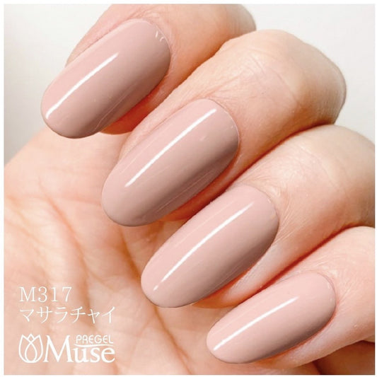 PREGEL MUSE M317 MASALA CHAI