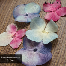 Load image into Gallery viewer, RUYIYA PASTEL DRIED FLOWER (BIG PETALS)
