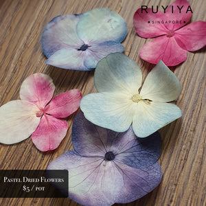 RUYIYA PASTEL DRIED FLOWER (BIG PETALS)