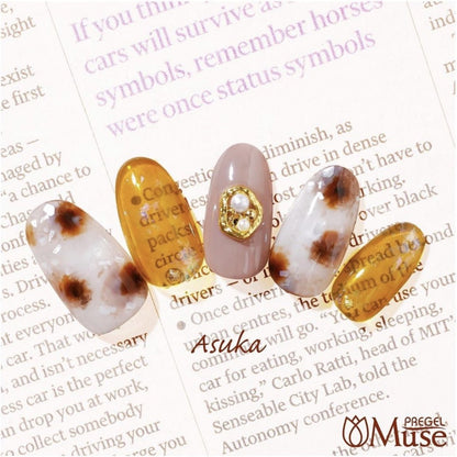 PREGEL MUSE S210 CLEAR HONEY