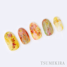 Load image into Gallery viewer, TSUMEKIRA AUTUMN ASSORTMENT | NN-ALS-101
