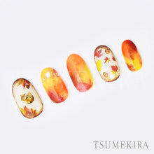 Load image into Gallery viewer, TSUMEKIRA AUTUMN ASSORTMENT | NN-ALS-101
