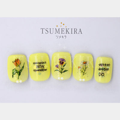 TSUMEKIRA DAISY'S GARDEN YELLOW | NN-DAI-106