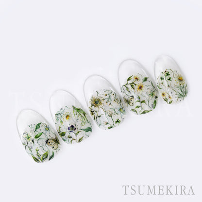 TSUMEKIRA DAISY'S GARDEN WHITE | NN-DAI-112