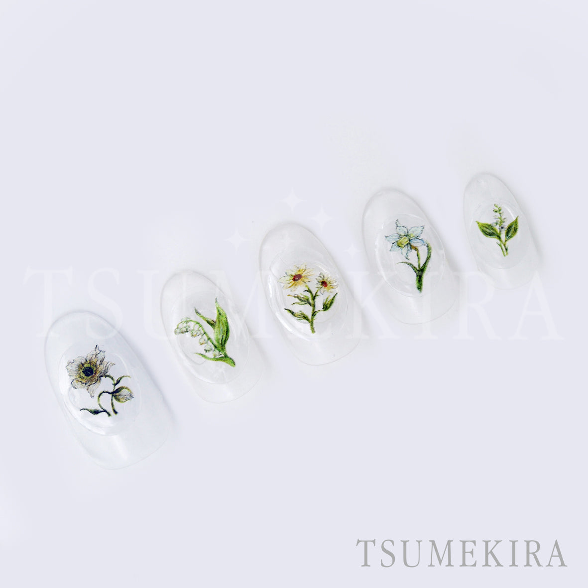 TSUMEKIRA DAISY'S GARDEN WHITE | NN-DAI-112