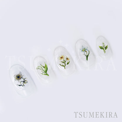 TSUMEKIRA DAISY'S GARDEN WHITE | NN-DAI-112